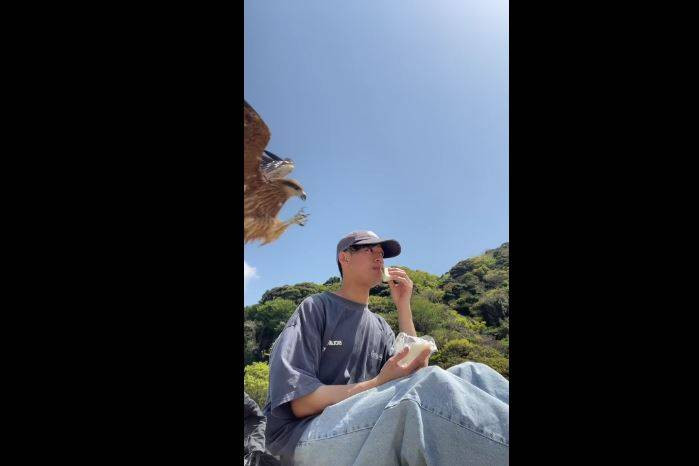 Japon gencin ağzına götürdüğü sandviçi pençesiyle çaldı! Fişek gibi geldi tek hamlede kaptı - Resim: 6